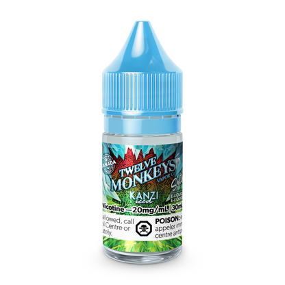 TWELVE MONKEYS ICE AGE SALT NIC 30ML JUICE