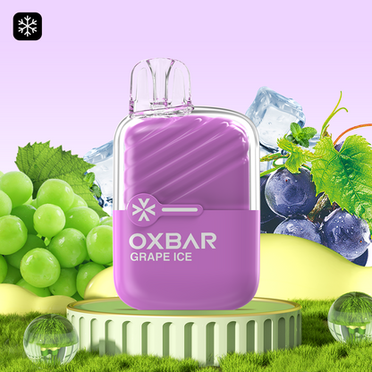 OXBAR MINI 1200 PUFFS (F)